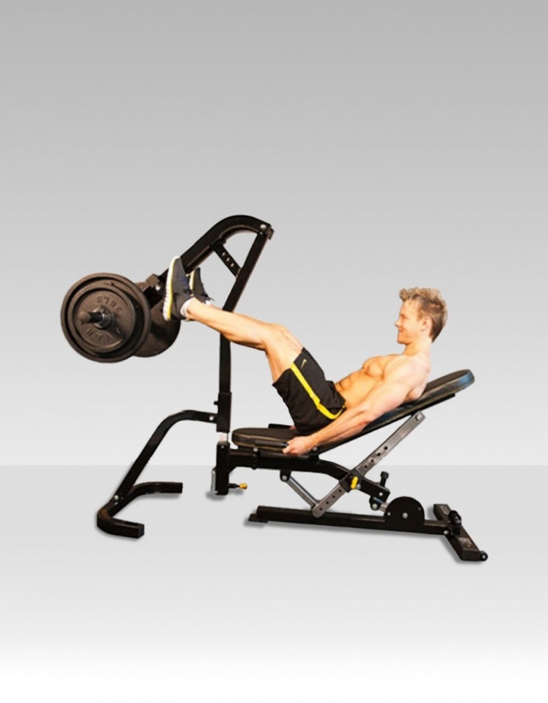 Legs Leg Powertec