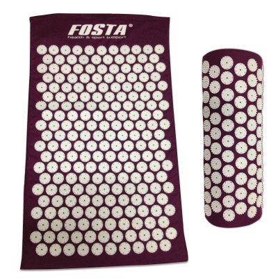  Fosta  F 0107 -    