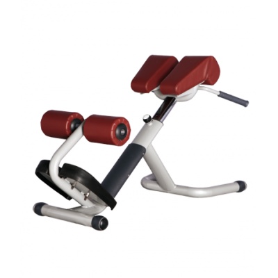   BRONZE GYM H-26A -    