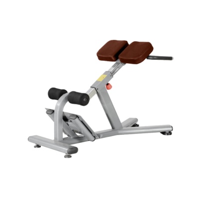 Силовая скамья BRONZE GYM J-026_C - купить по специальной цене