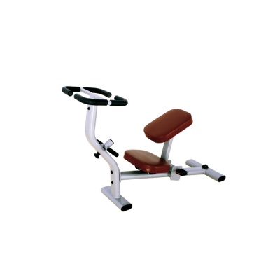  Bronze Gym H-33 -    