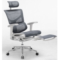  Expert Sail RSL-01G