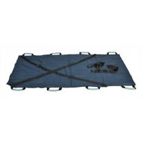   - Carry Sheet