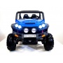     / RiverToys Buggy