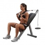 Скамья для пресса на свободном весе Body Solid PAB21X