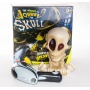   3D Johnny the Skull - ( 1 )