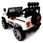 Электромобиль с пультом RiverToys Jeep T008TT