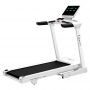 Электрическая беговая дорожка Ammity Fashion FTM 5120 W