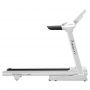 Электрическая беговая дорожка Ammity Fashion FTM 5120 W