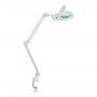 -  - 9005LED (9005LED)