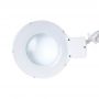 -   - 9001LED (9001LED)