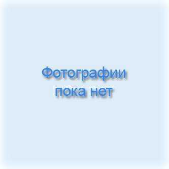 Стул мастера Мед-Мос МА02 (XV) тип 5